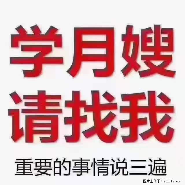 为什么要学习月嫂，育婴师？ - 其他广告 - 广告专区 - 广元分类信息 - 广元28生活网 guangyuan.28life.net