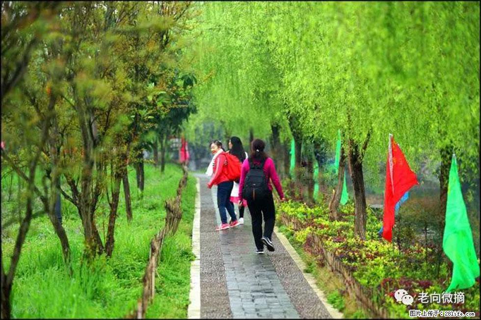 【春天，广西桂林灌阳县向您发出邀请！】江口老街又逢春 - 游山玩水 - 广元生活社区 - 广元28生活网 guangyuan.28life.net
