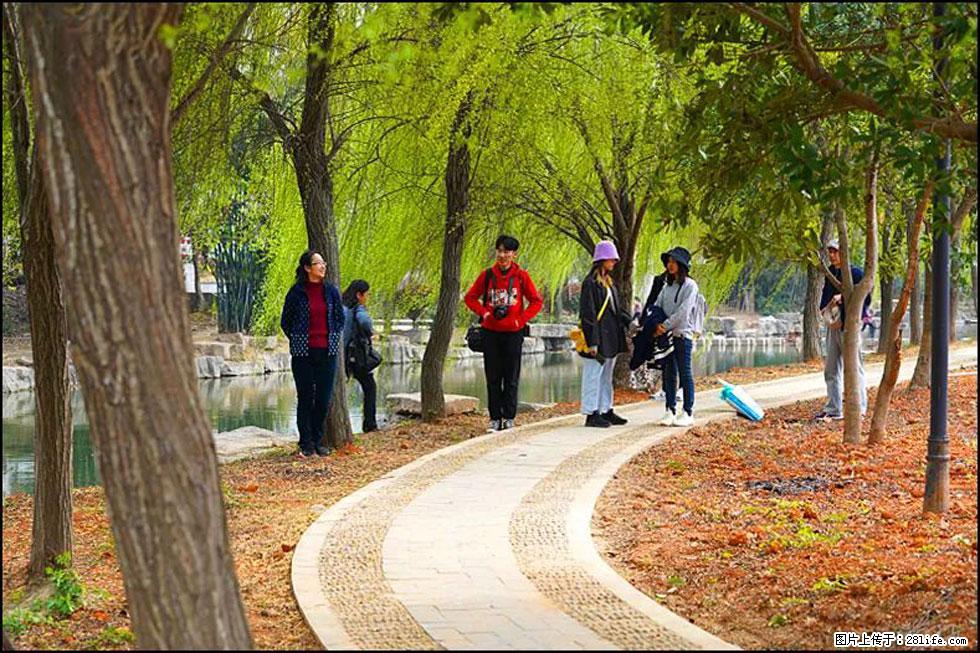 【春天，广西桂林灌阳县向您发出邀请！】江口老街又逢春 - 游山玩水 - 广元生活社区 - 广元28生活网 guangyuan.28life.net