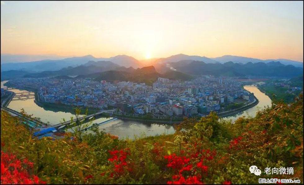 【春天，广西桂林灌阳县向您发出邀请！】登麒麟山，相约映山红 - 游山玩水 - 广元生活社区 - 广元28生活网 guangyuan.28life.net