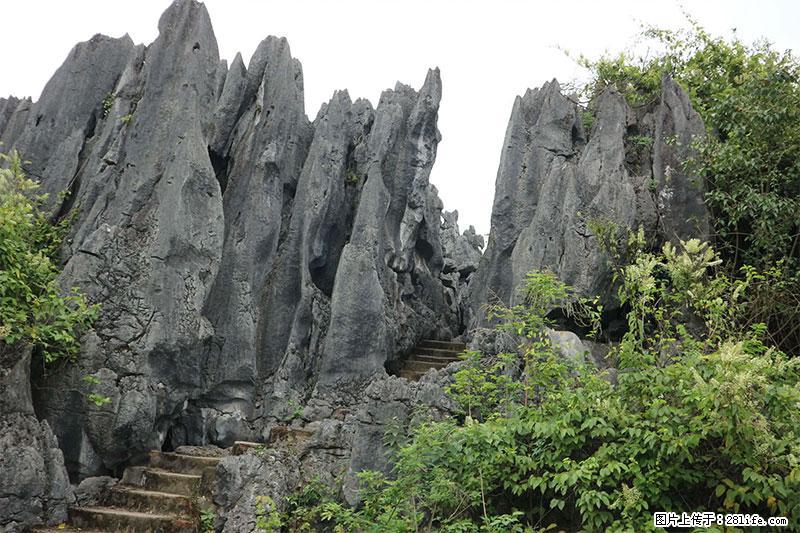 桂林旅游名城景点：灌阳文市石林 - 游山玩水 - 广元生活社区 - 广元28生活网 guangyuan.28life.net
