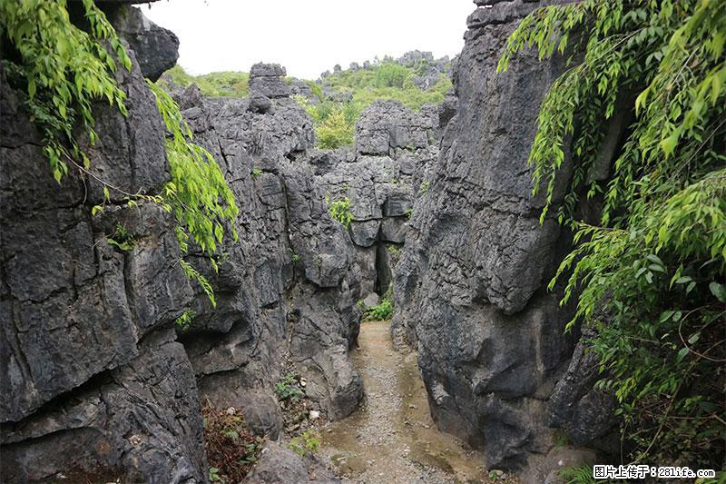 桂林旅游名城景点：灌阳文市石林 - 游山玩水 - 广元生活社区 - 广元28生活网 guangyuan.28life.net