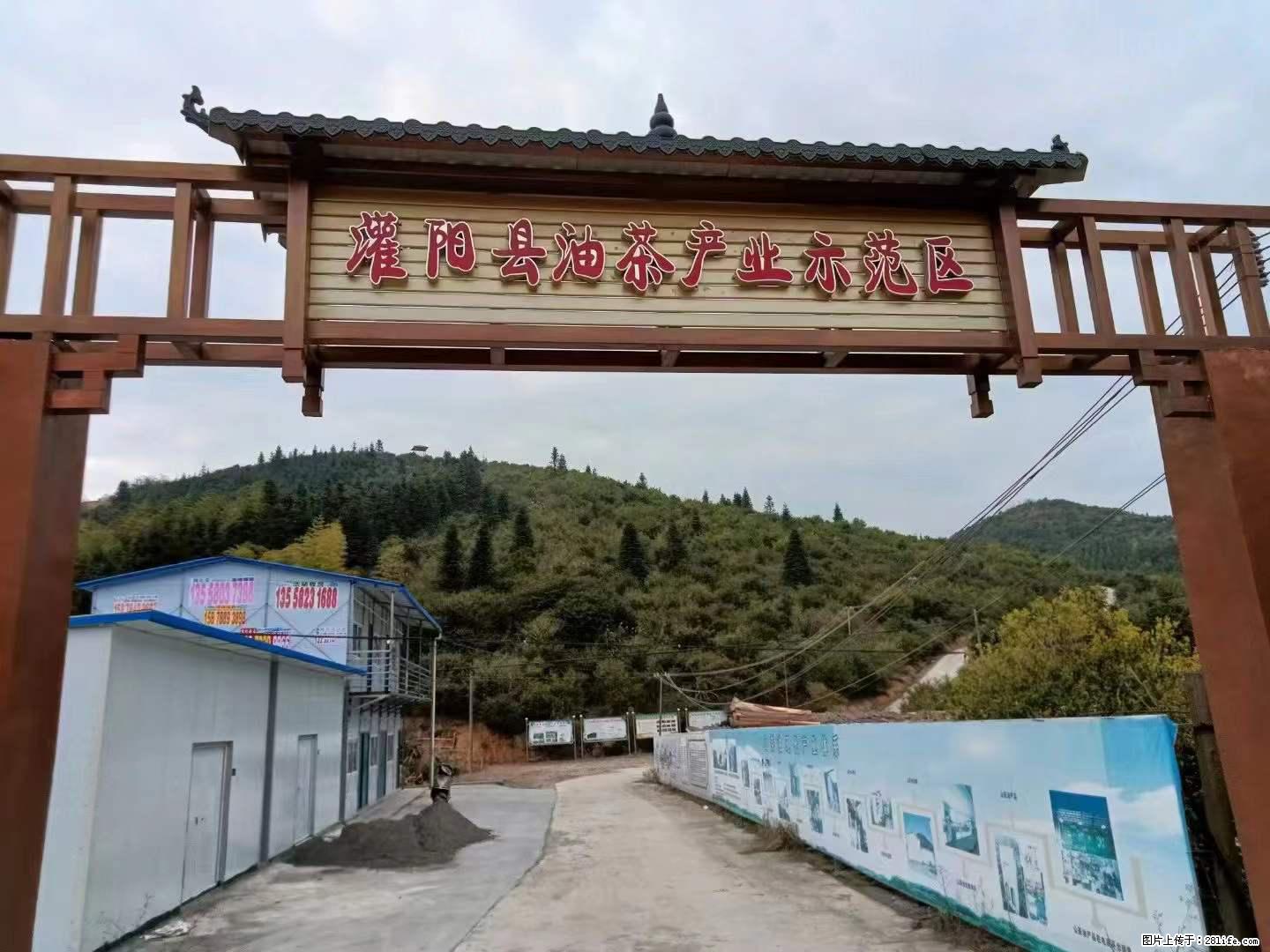 【灌阳县油茶产业示范区】一个有着充实的精神生活的人，对待身外之物自会有一种淡泊的态度 - 土特产 - 饮食特产 - 广元分类信息 - 广元28生活网 guangyuan.28life.net