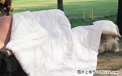 被子有异味?只要这样做,比晒太阳还强100倍! - 家居生活 - 广元生活社区 - 广元28生活网 guangyuan.28life.net