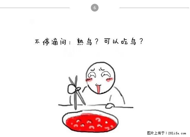 千万不要和这9种哈卵一起吃火锅！ - 美食天地 - 广元生活社区 - 广元28生活网 guangyuan.28life.net