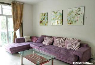 恒星城精装大三居出租 家具家电齐全紧邻利州广场 - 广元28生活网 guangyuan.28life.net