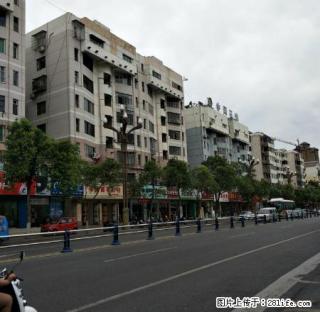 老城中心医院附近温馨清爽两室两厅带空调家具家电出租 - 广元28生活网 guangyuan.28life.net