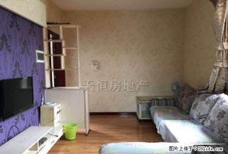 优质房源东坝科学园 温馨一居室 东西齐全只是没空调电梯房 - 广元28生活网 guangyuan.28life.net