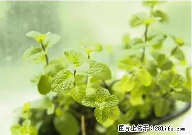 晕车、脚气、牙齿变黄、皮肤粗糙？学会这些三分钟搞定！ - 广元生活资讯 - 广元28生活网 guangyuan.28life.net