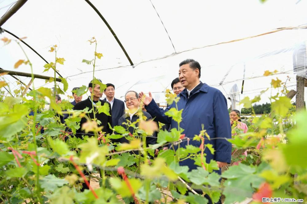 习近平赴广西考察调研 - 广元生活资讯 - 广元28生活网 guangyuan.28life.net