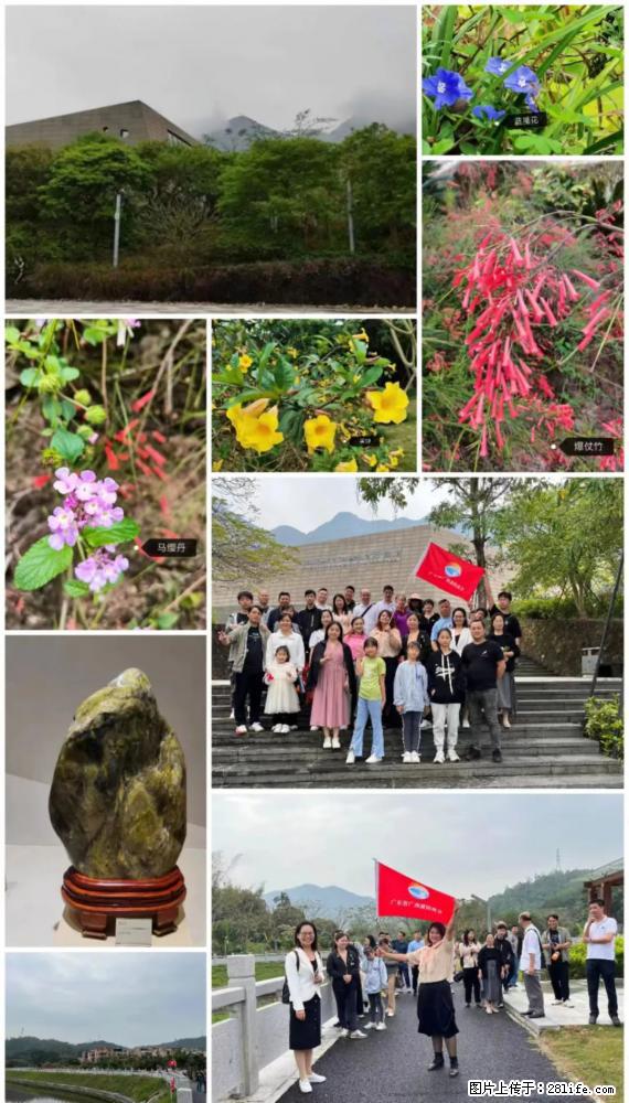 “粤灌文化 美好生活”油茶文化主题活动在广东深圳成功举办 - 广元生活资讯 - 广元28生活网 guangyuan.28life.net