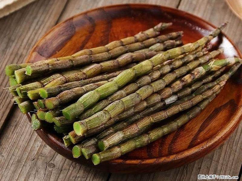 铁皮石斛的作用与功能主治 - 广元生活资讯 - 广元28生活网 guangyuan.28life.net